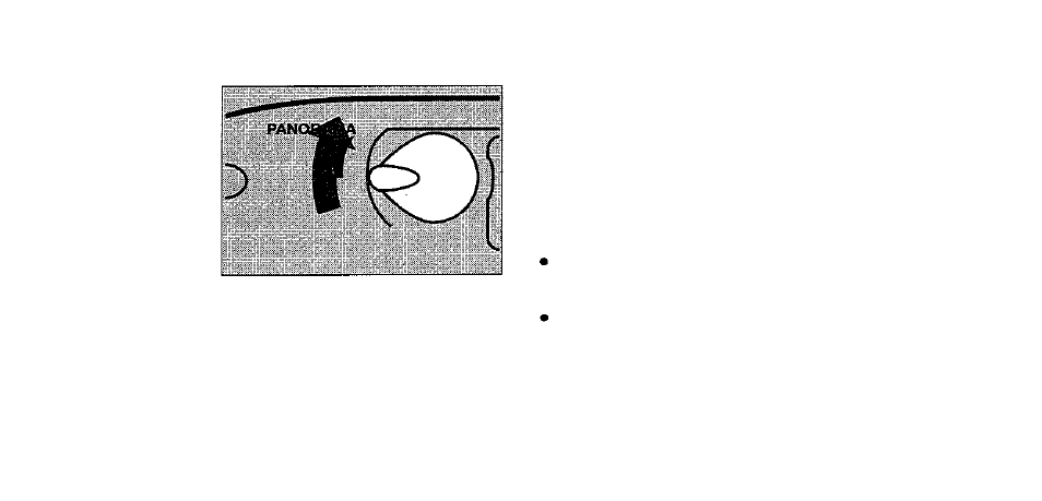 Taking panorama pictures | Olympus RC-200 User Manual | Page 26 / 67