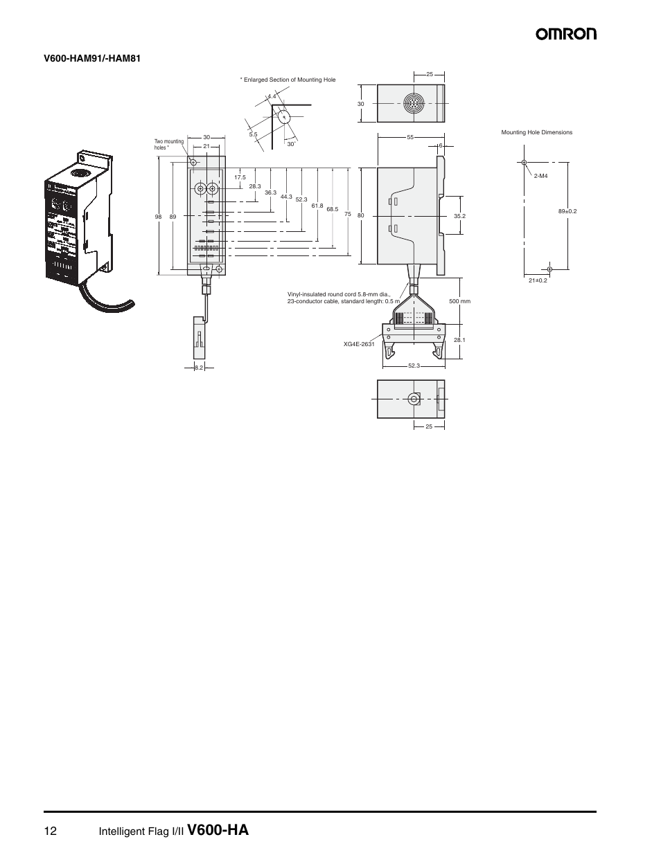 V600-ha, Intelligent flag i/ii | Omron V600-HA User Manual | Page 11 / 15