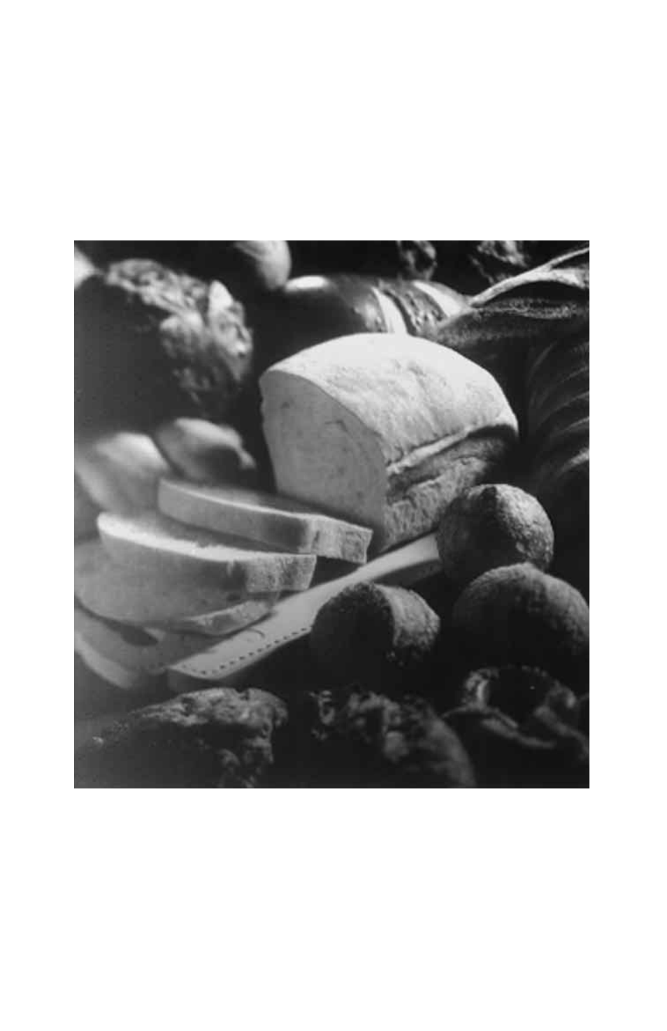 Oster deluxe bread and dough maker User Manual | Page 4 / 60