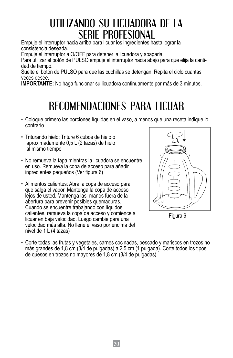 Utilizando su licuadora de la serie profesional, Recomendaciones para licuar | Oster BPST02-B-050 User Manual | Page 21 / 34