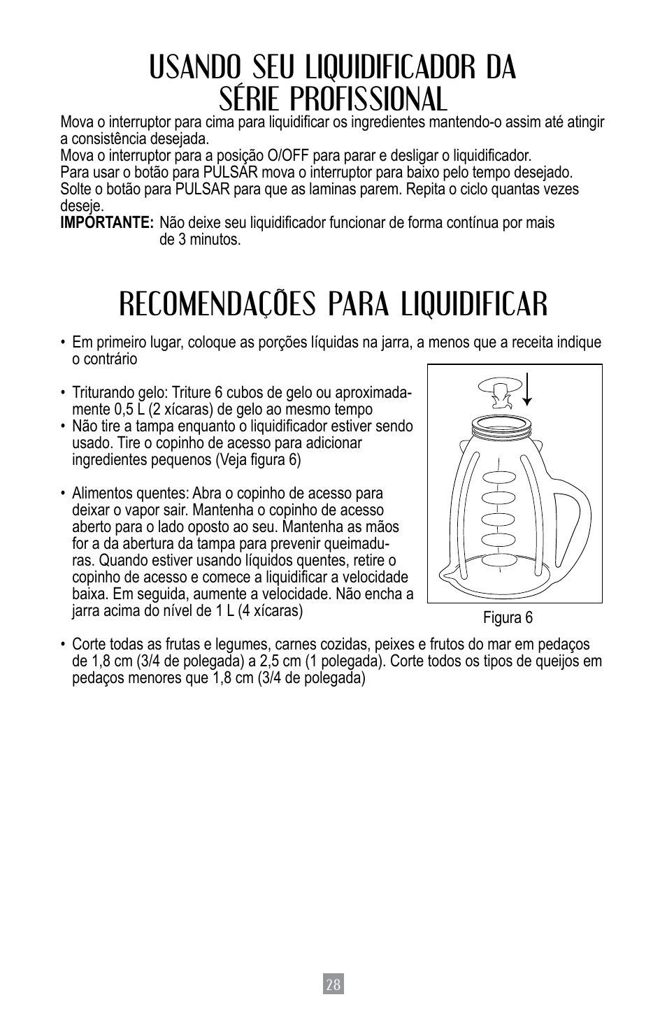 Usando seu liquidificador da série profissional, Recomendações para liquidificar | Oster BPST02-B-050 User Manual | Page 29 / 34