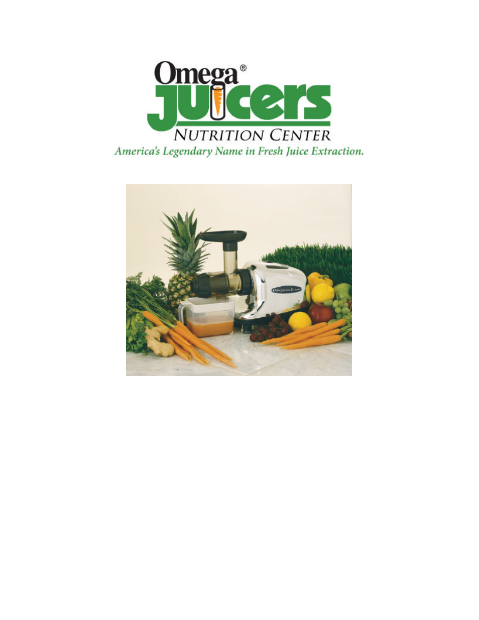 Omega 8003 User Manual | 12 pages