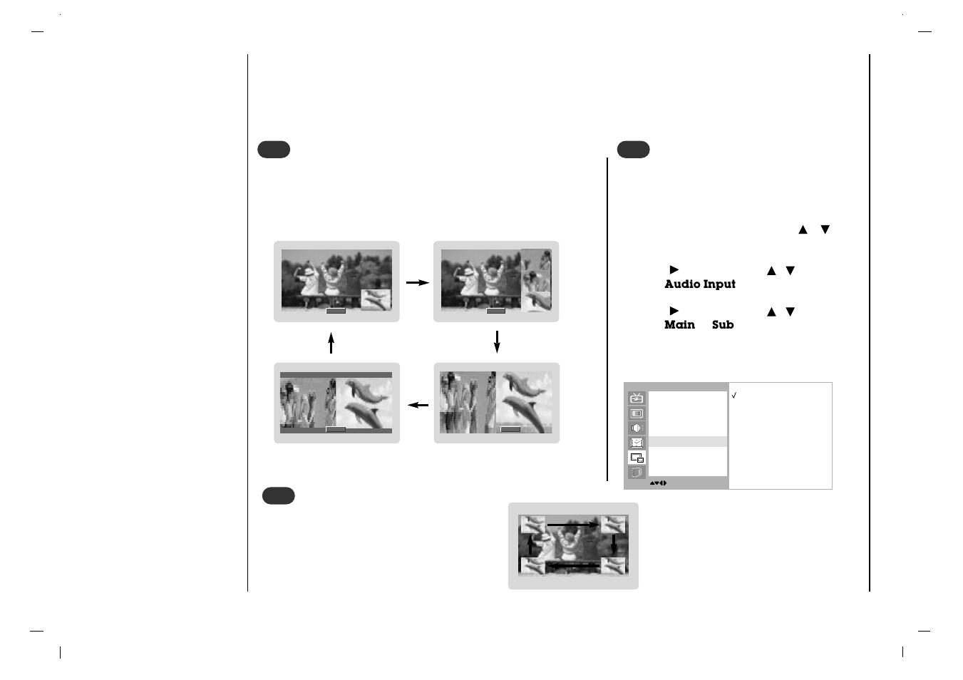 Pip (picture-in-picture) feature | Rolsen RL-32X11 User Manual | Page 30 / 244