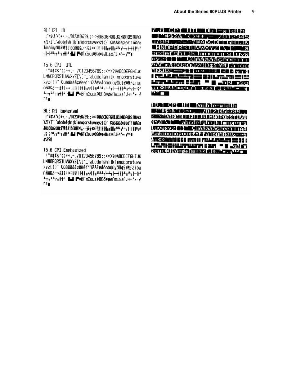TransAct Technologies ITHACA 80PLUS User Manual | Page 19 / 45