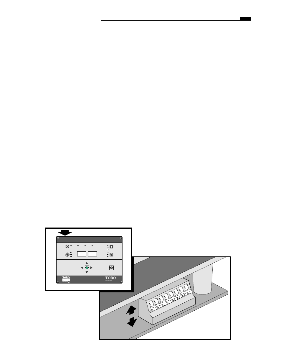 Off on, Selecting control options | Toro Plus Series Satellite User Manual | Page 3 / 19