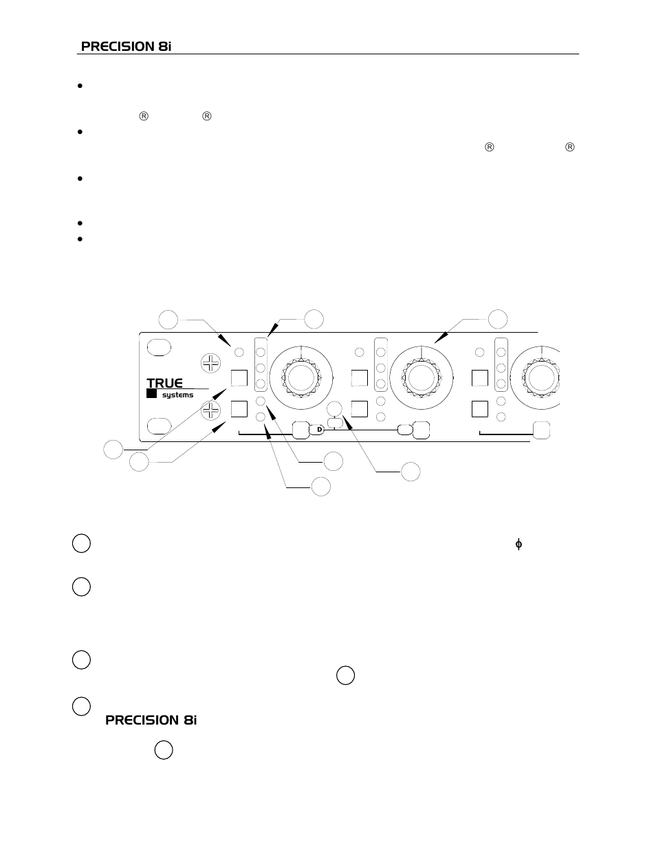 TRUE Systems PRECISION 8i User Manual | Page 12 / 19