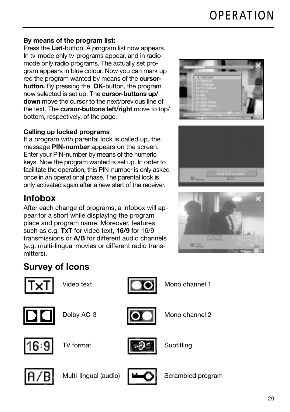 Infobox, Survey of icons | Triax DVB 63S User Manual | Page 29 / 40