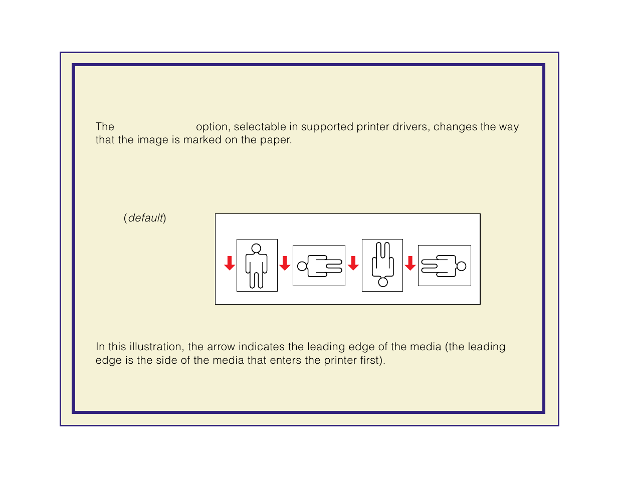 Options, Rotation, Page rotation | Tektronix Phaser 600 User Manual | Page 246 / 798