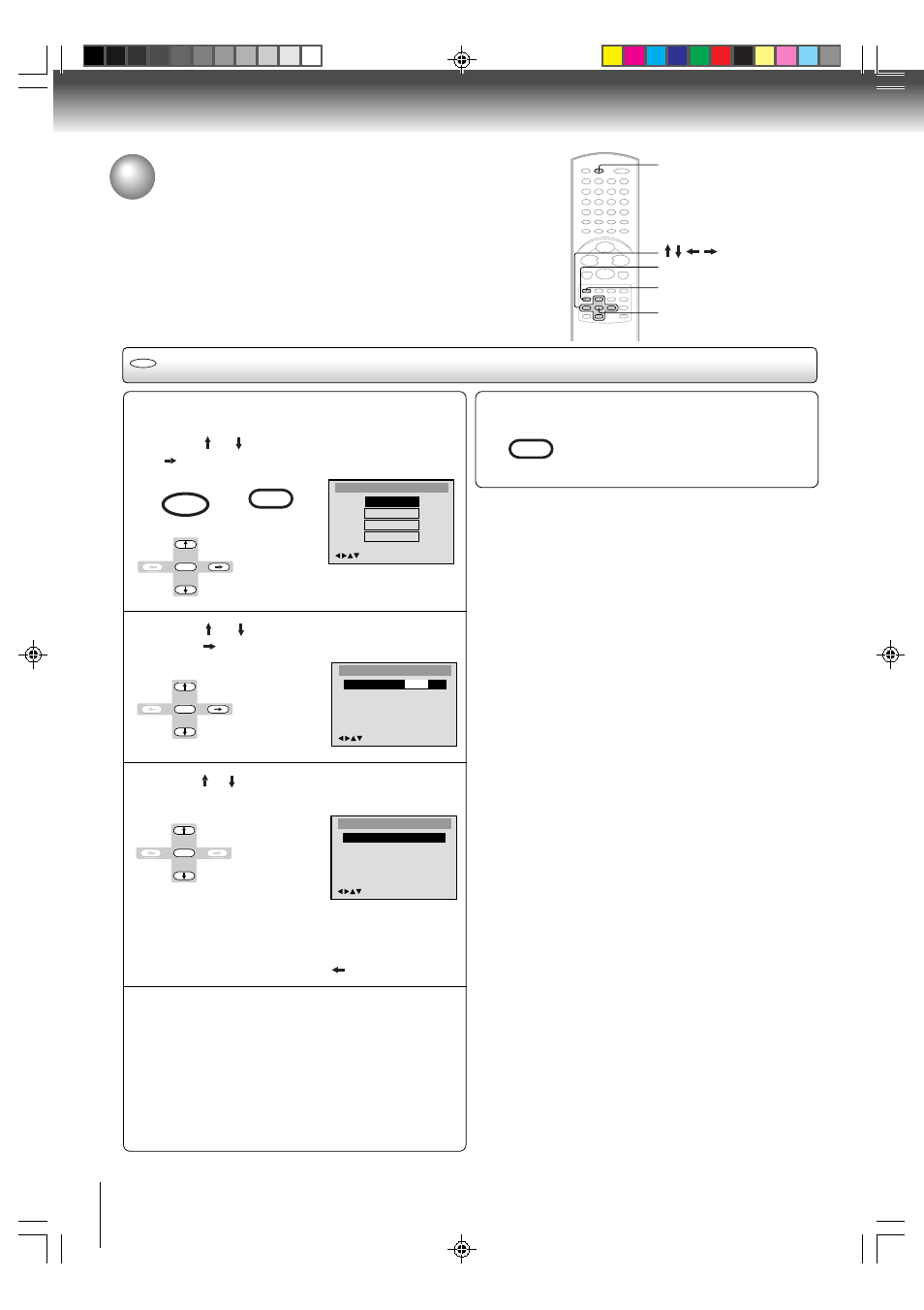 Function setup - dvd, Setting the language, Setting language | Toshiba MW24FN3/R User Manual | Page 56 / 68