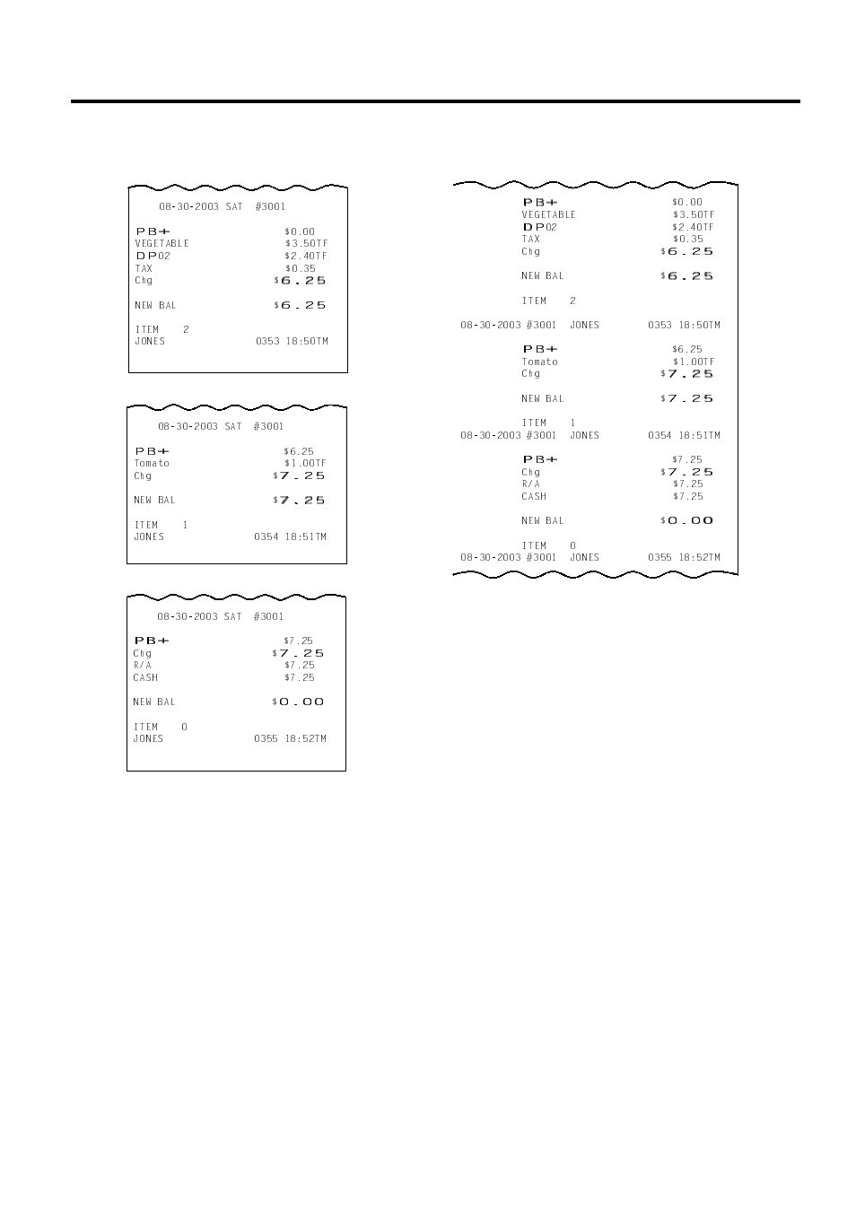 Registering procedure and print format | Toshiba MA-1595-1 Series User Manual | Page 79 / 218