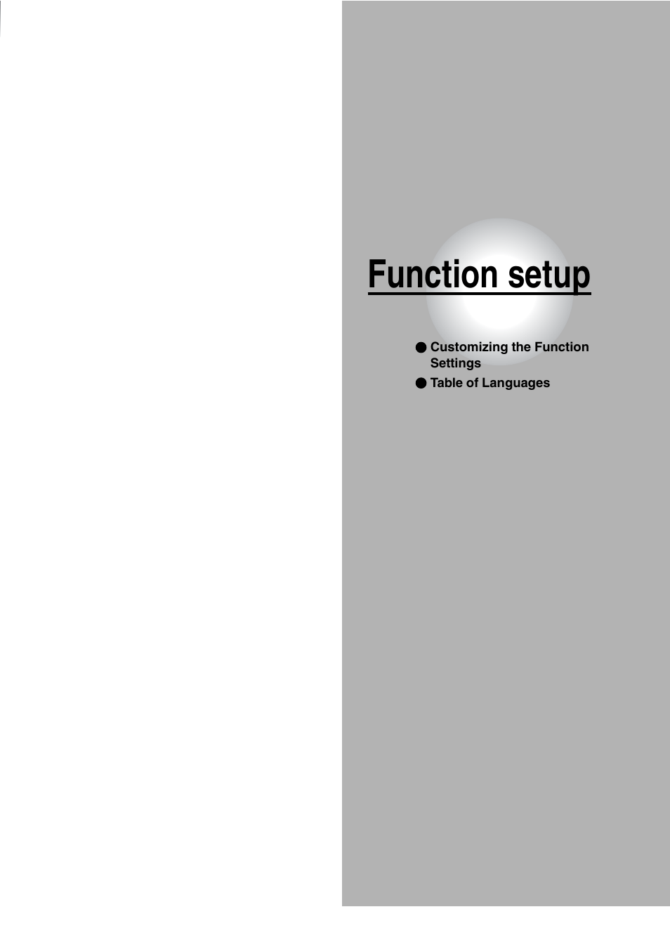 Function setup | Toshiba SD-240ESE User Manual | Page 49 / 61