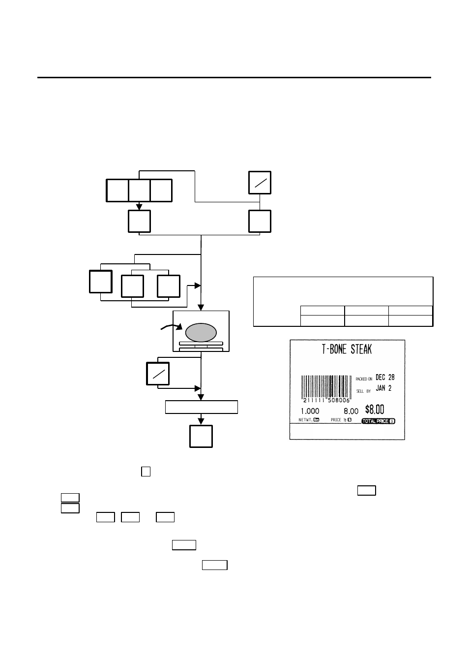 Weighing operation, 1 weighing operation | Toshiba TEC SL-9000N-FFR-QR User Manual | Page 67 / 96