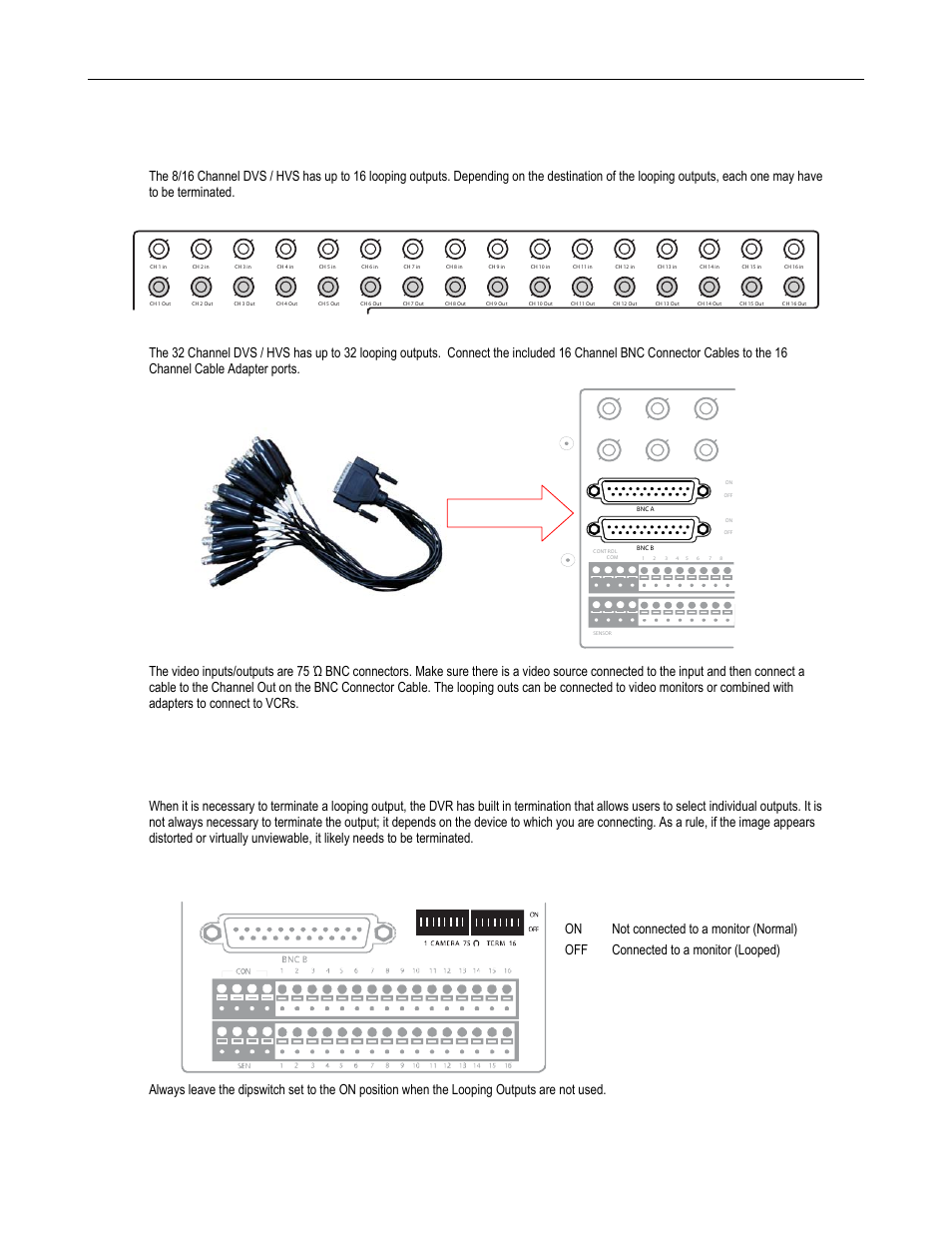 Looping outputs, Looping output termination, 8/16 channel | Toshiba Surveillix XVS Series User Manual | Page 39 / 45