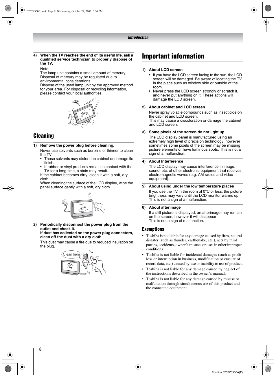 Important information, Cleaning | Toshiba VX1A00054000 User Manual | Page 6 / 36