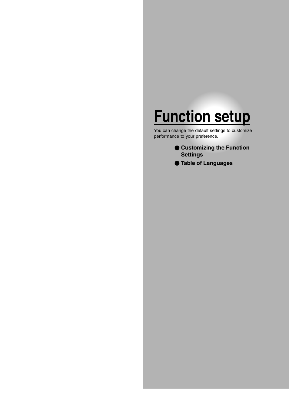 Function setup | Toshiba SD-260SV User Manual | Page 47 / 61