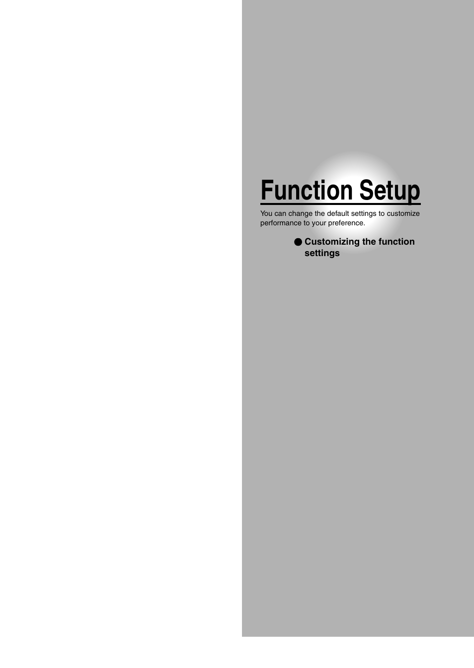Function setup | Toshiba DVd Video Recorder D-R4SU User Manual | Page 105 / 131