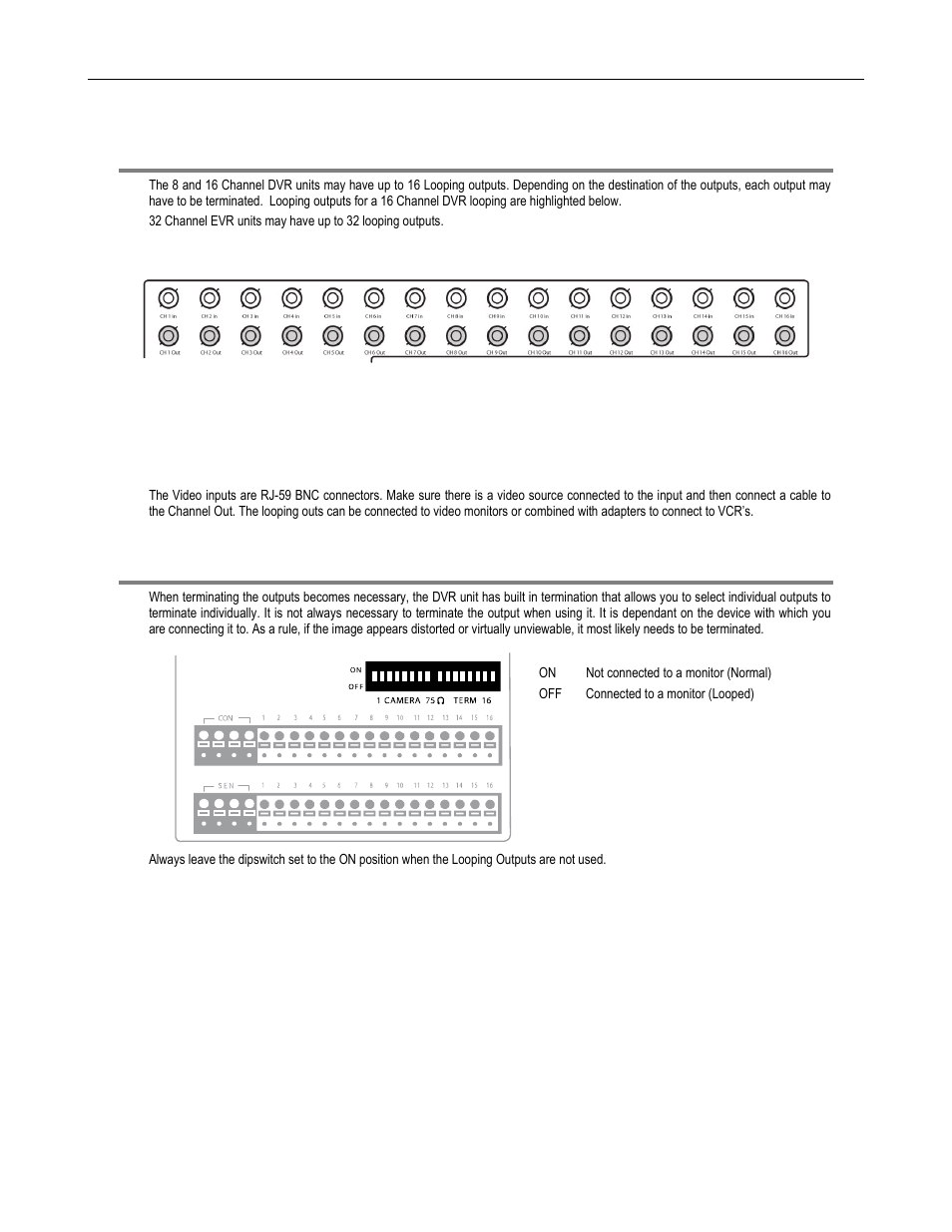 Looping outputs, Looping output termination | Toshiba DVR8-X User Manual | Page 40 / 141