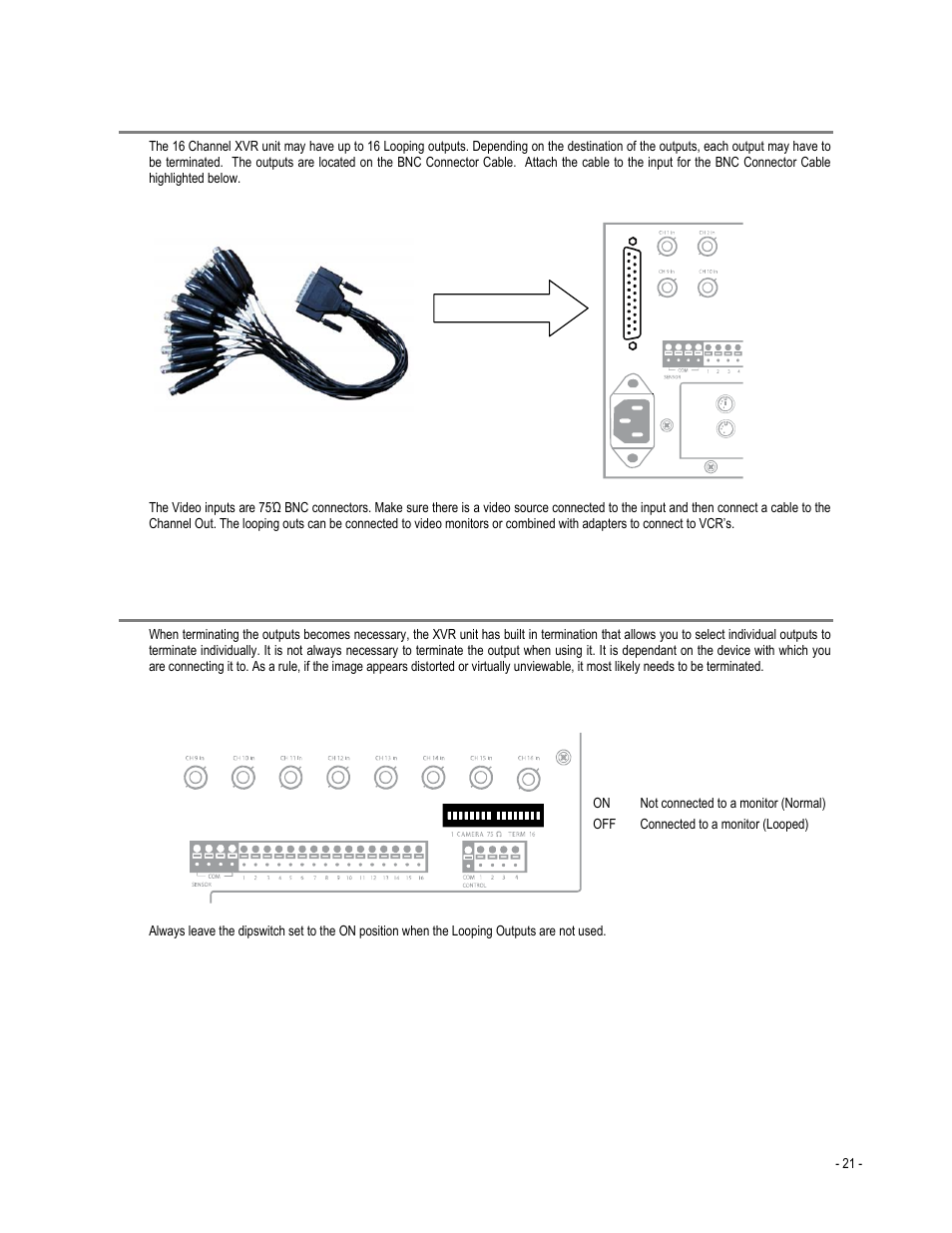 Looping outputs, Looping output termination | Toshiba XVR4-120-X User Manual | Page 33 / 35