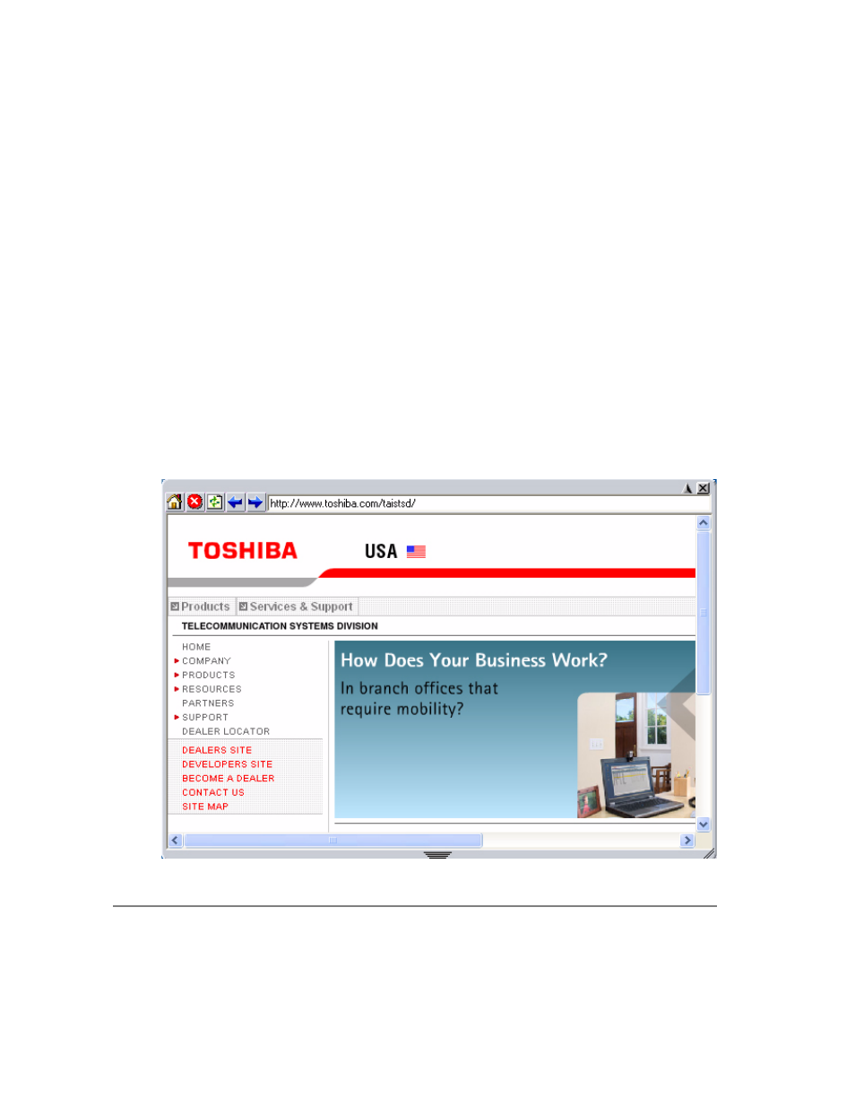 Browser window | Toshiba Strata CIX100-S User Manual | Page 132 / 142