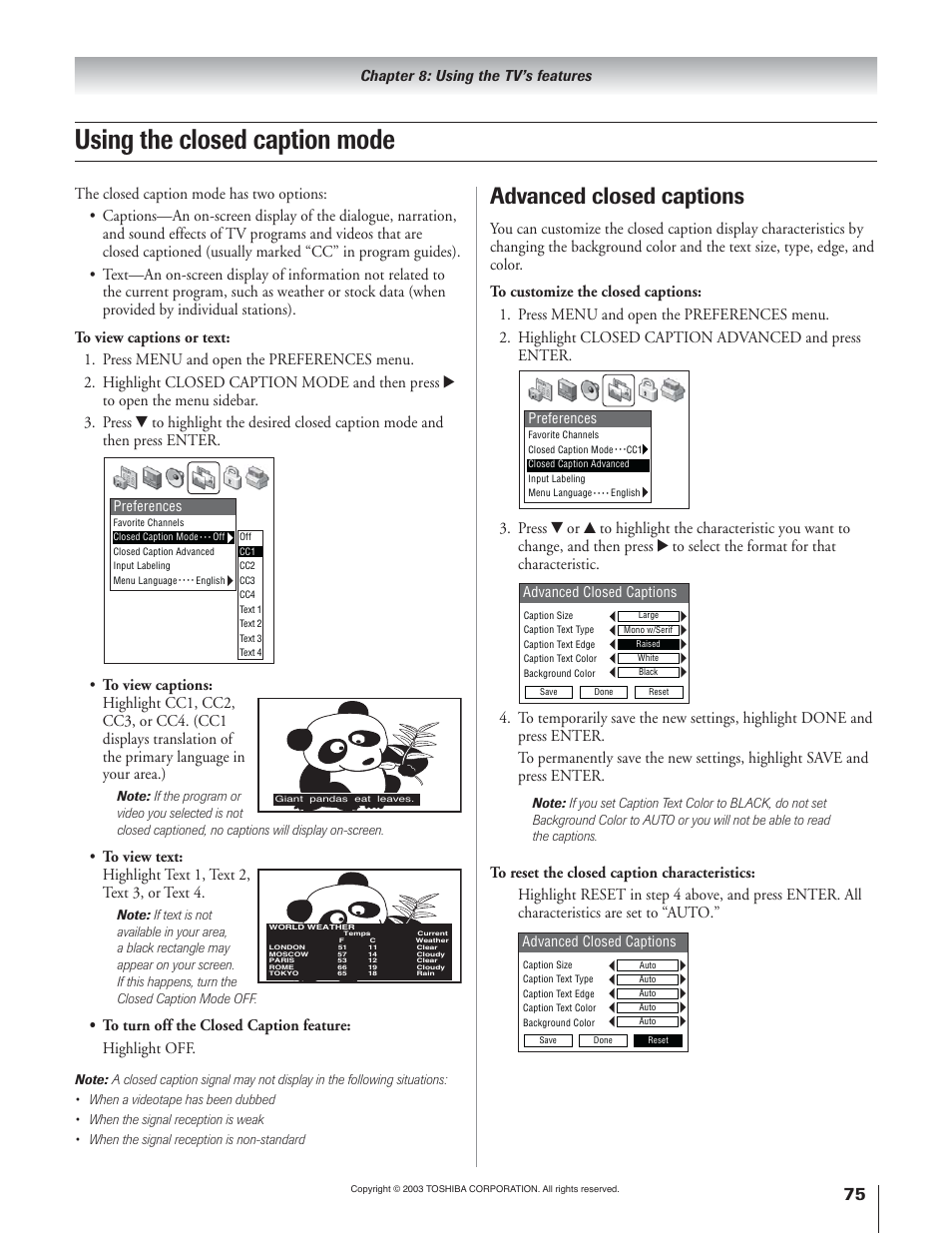 Using the closed caption mode, Advanced closed captions | Toshiba 51H93 User Manual | Page 75 / 100