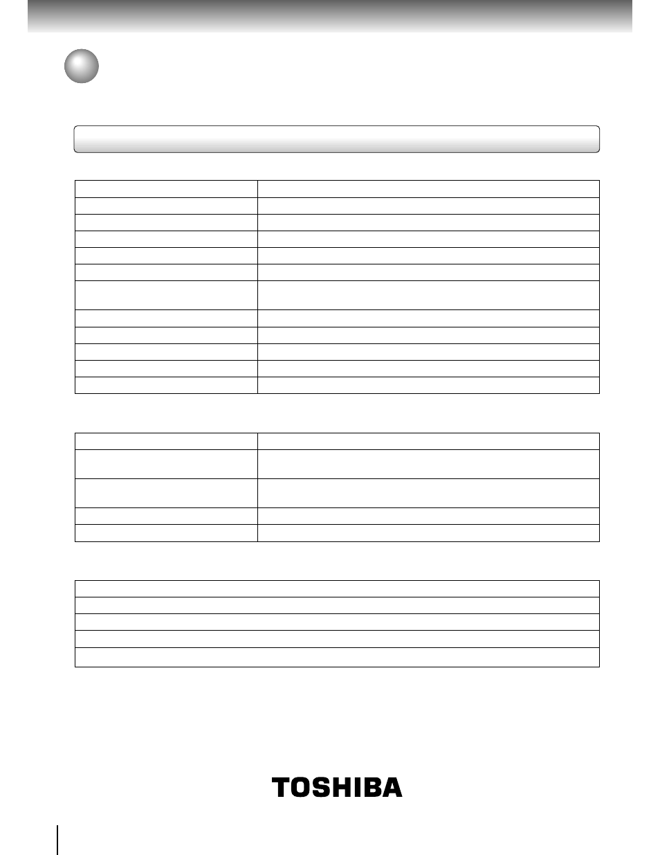 Specifications, Dvd video player / outputs / supplied accessories | Toshiba SD-100X User Manual | Page 44 / 47