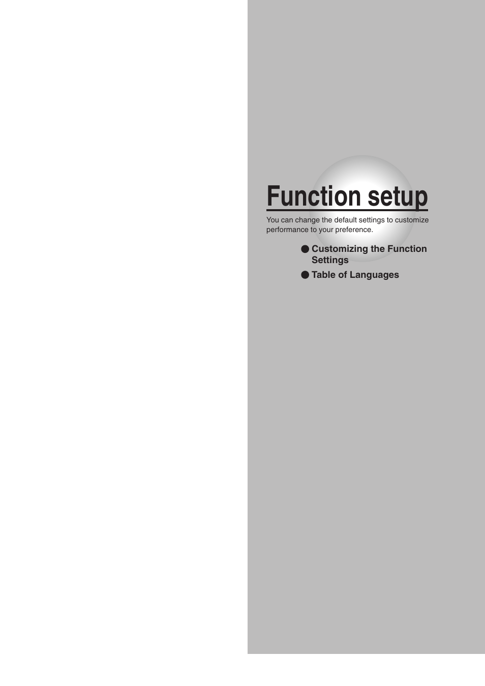 Function setup | Toshiba SD-K510 User Manual | Page 44 / 59