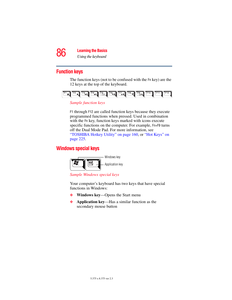 Function keys, Windows special keys, Function keys windows special keys | Toshiba P100/P105 User Manual | Page 86 / 280