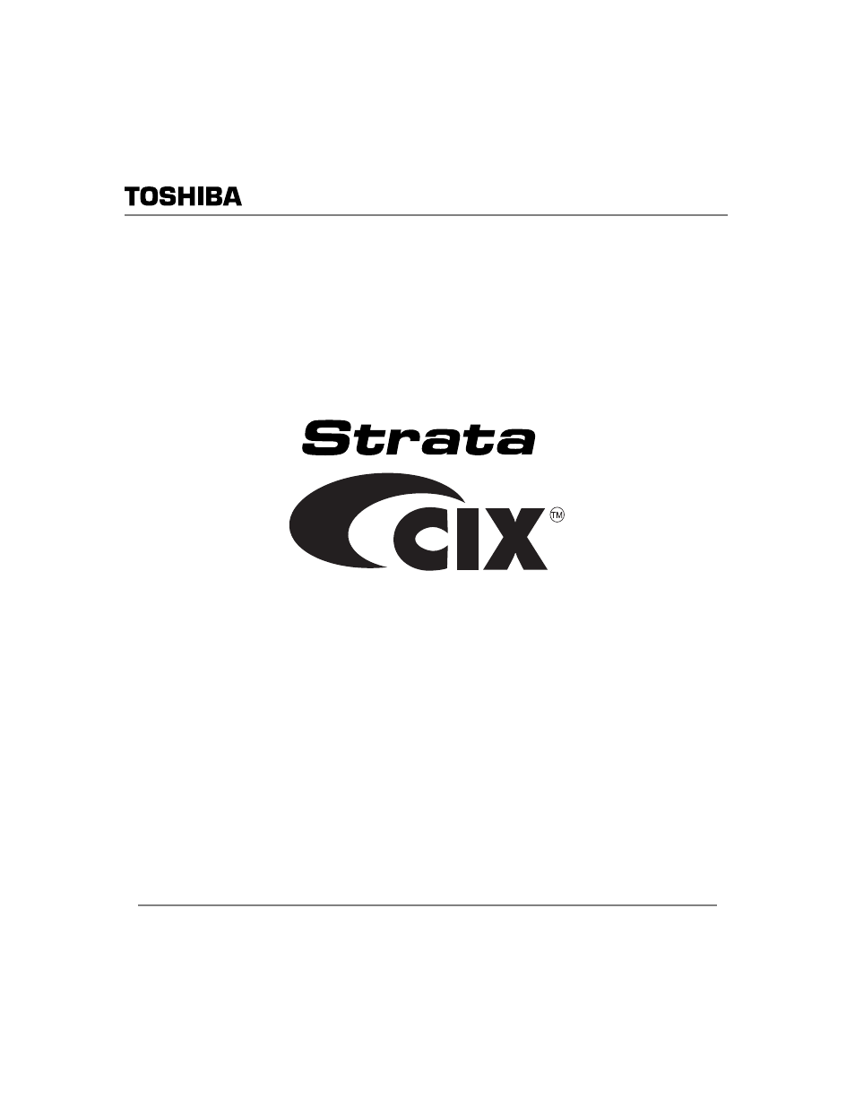 Toshiba DKT2304-CT User Manual | 65 pages