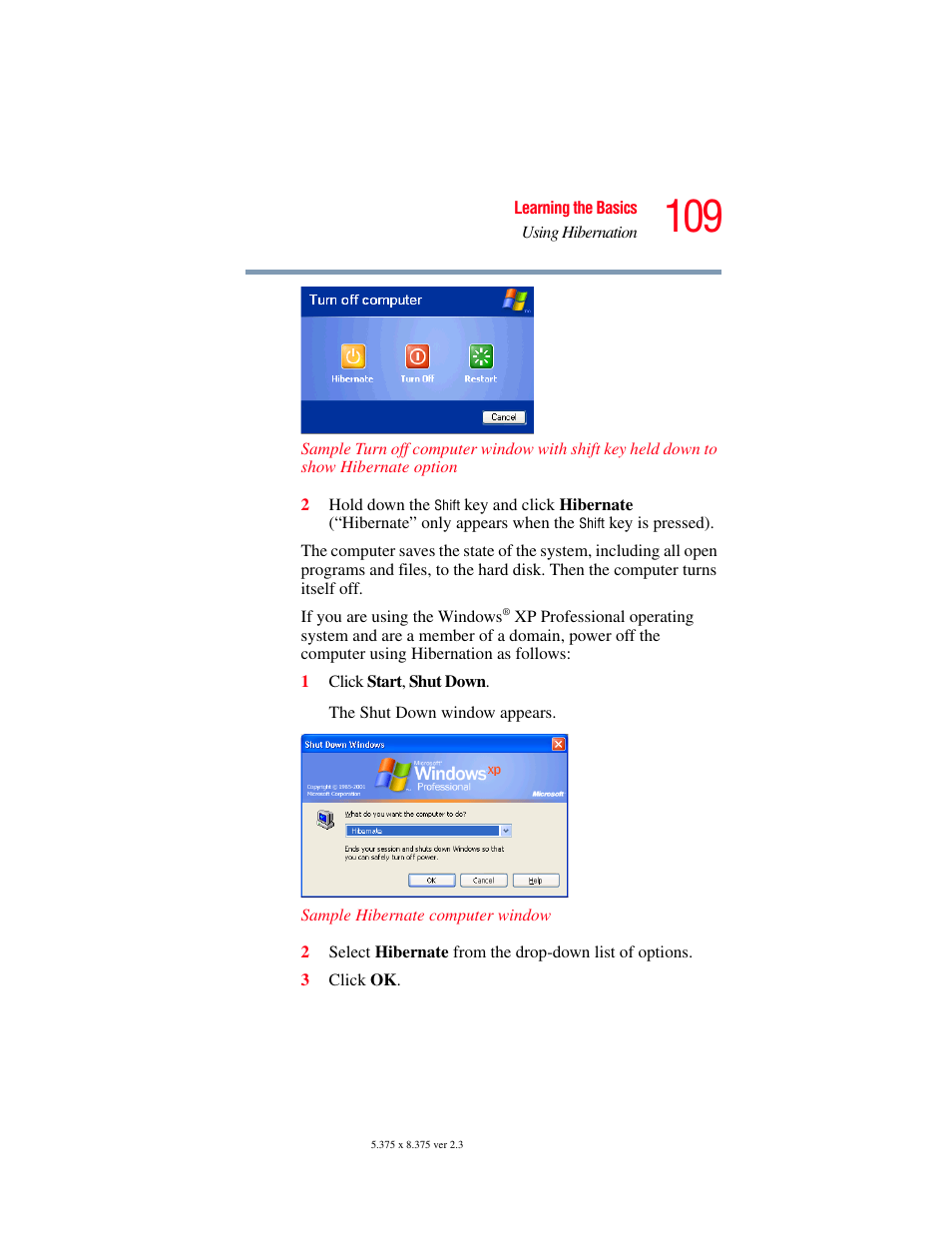 Toshiba SATELLITE A60 User Manual | Page 109 / 242