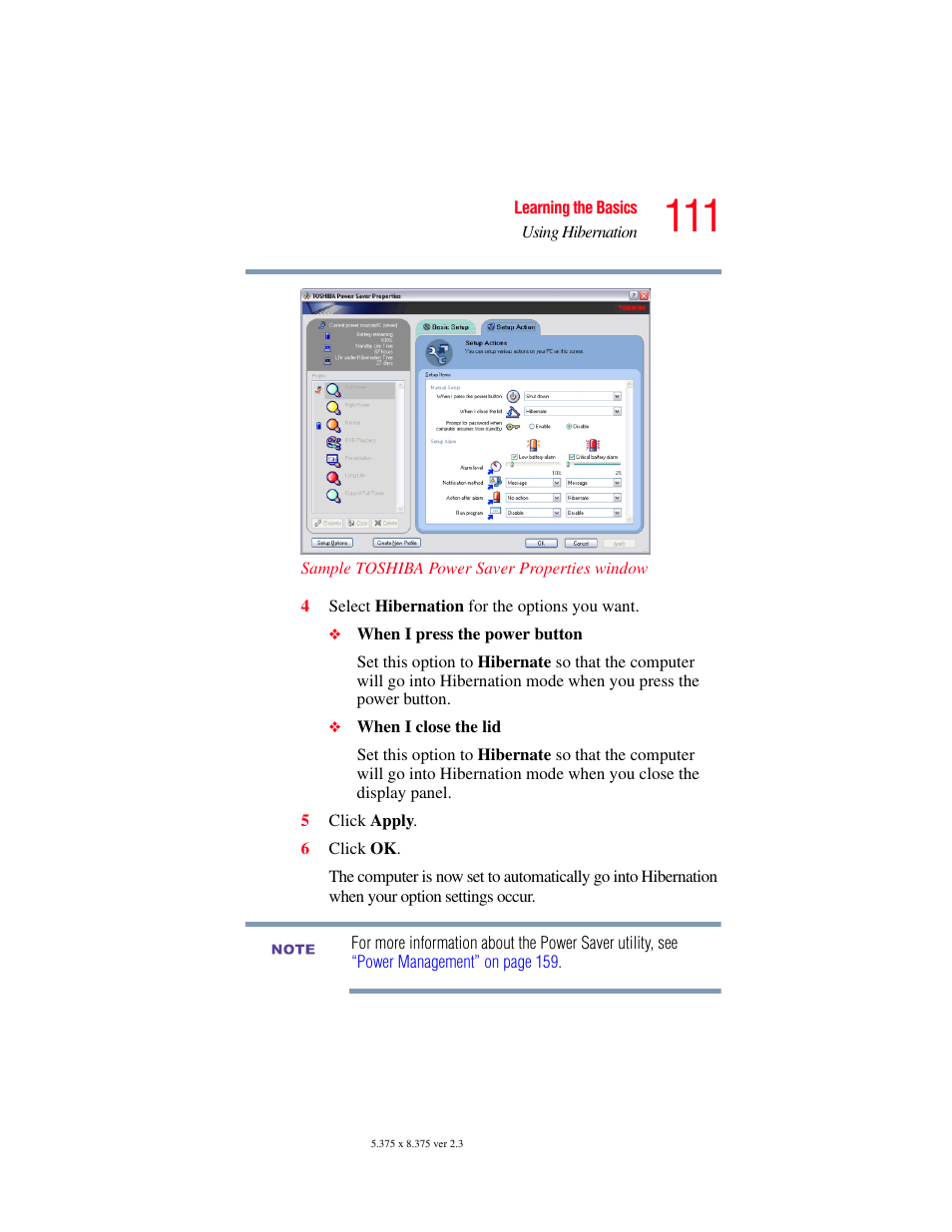 Toshiba SATELLITE A60 User Manual | Page 111 / 242