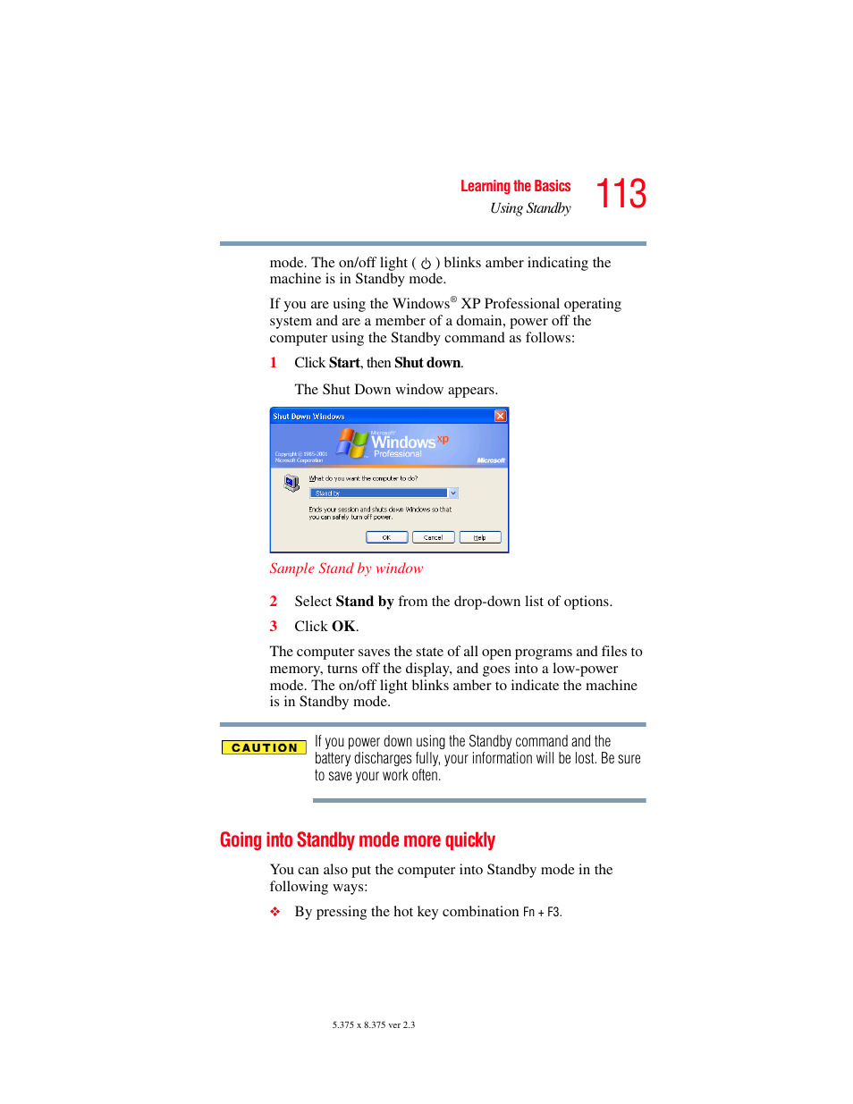 Going into standby mode more quickly, Going into standby mode | Toshiba SATELLITE A60 User Manual | Page 113 / 242