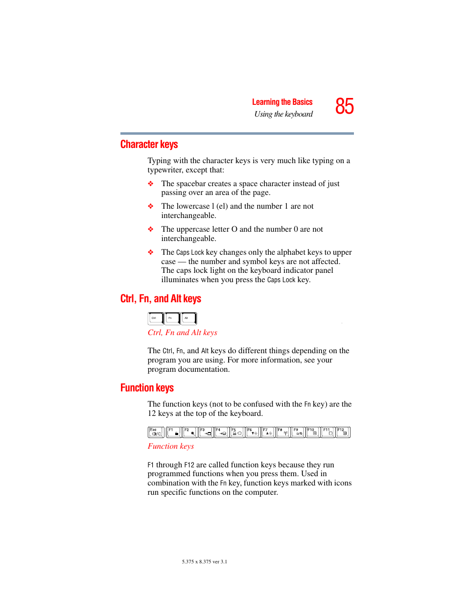 Character keys, Ctrl, fn, and alt keys, Function keys | Toshiba A45 User Manual | Page 85 / 277
