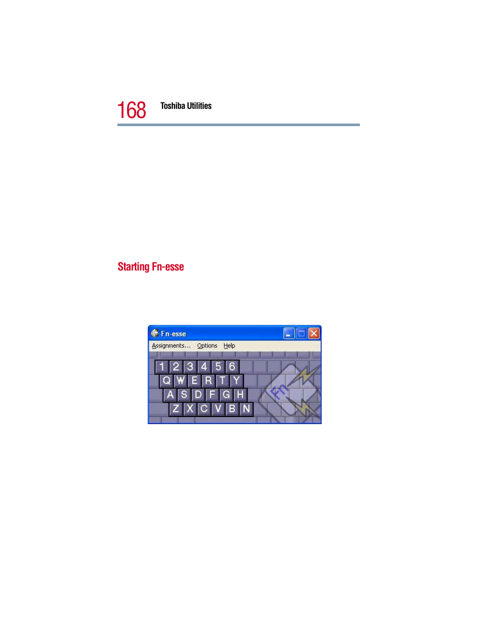 Starting fn-esse | Toshiba 1805 User Manual | Page 168 / 261