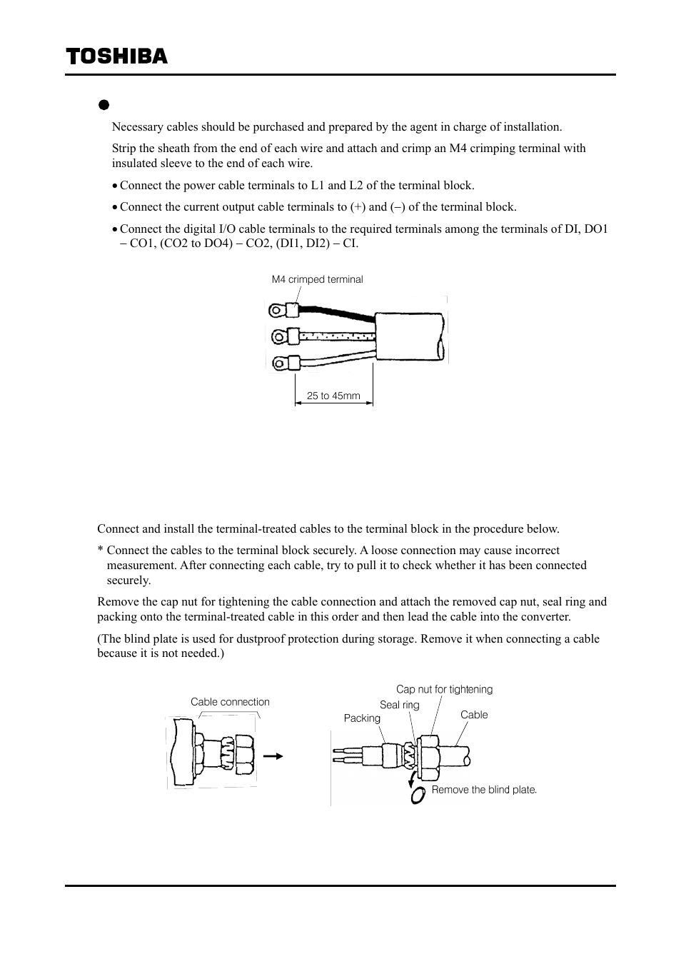 2 cable connection | Toshiba Tohsiba Electromagnetic Flowmeter Converter L5232 User Manual | Page 26 / 174