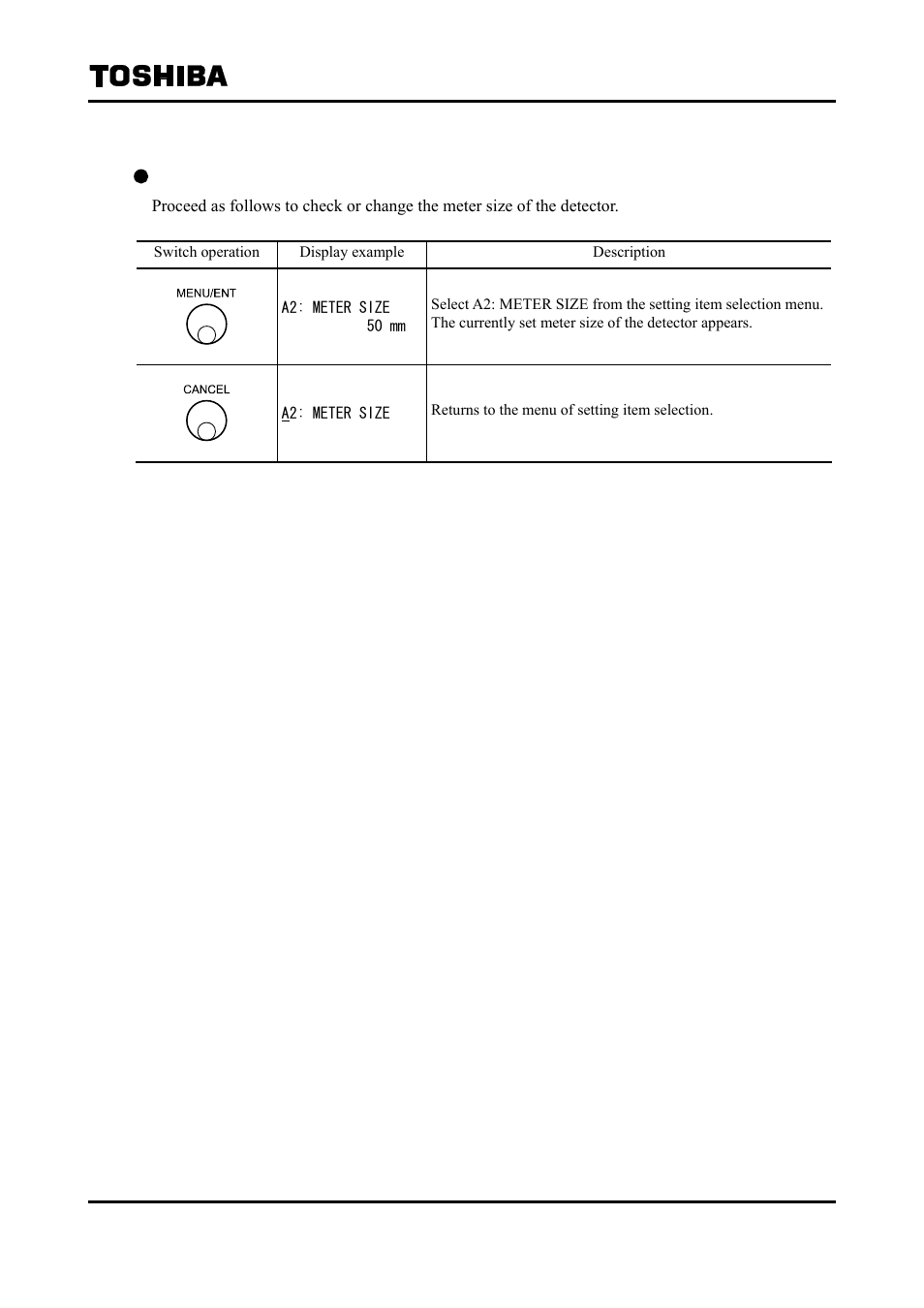 2 meter size | Toshiba Tohsiba Electromagnetic Flowmeter Converter L5232 User Manual | Page 59 / 174