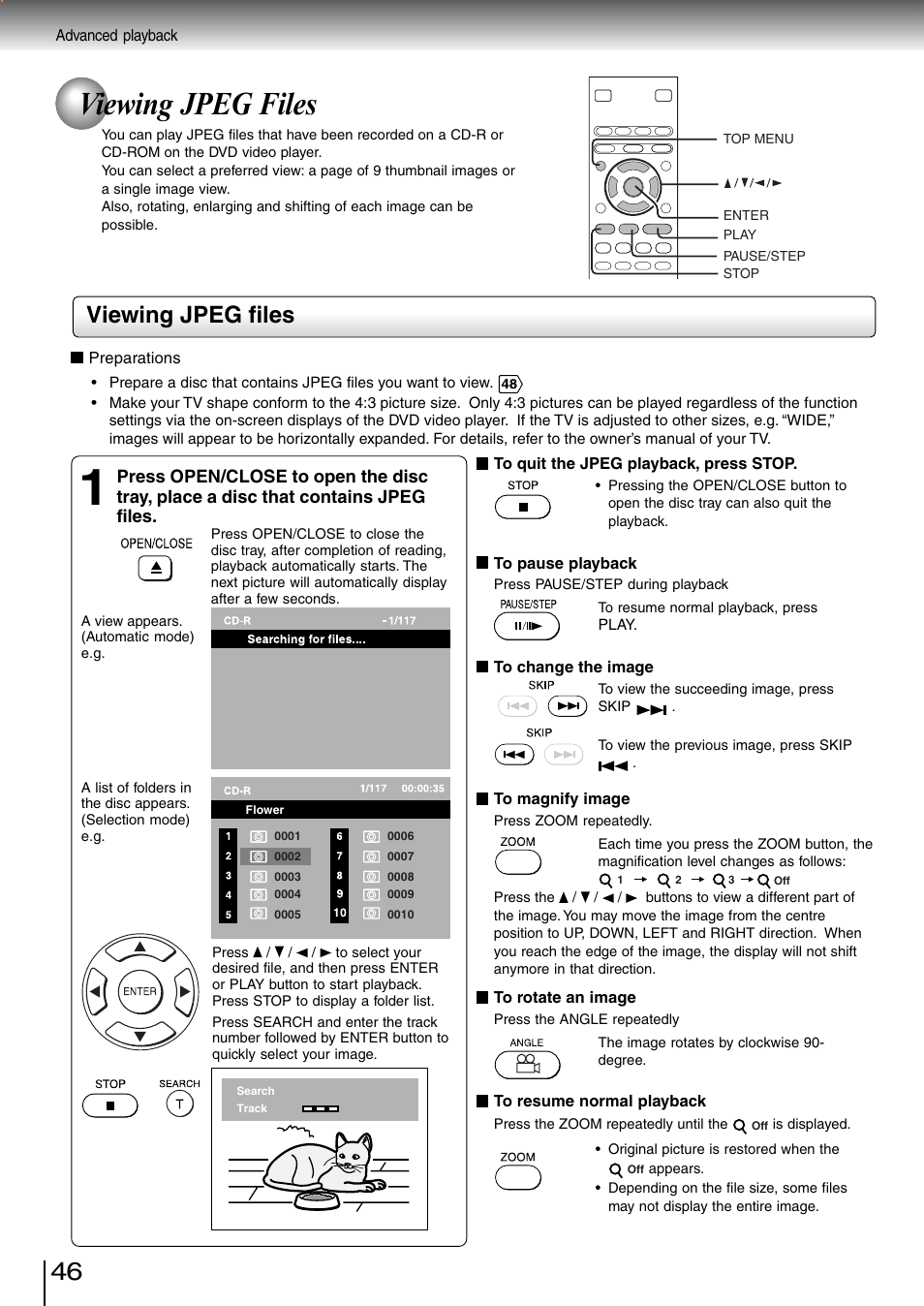 Viewing jpeg files | Toshiba SD-3980SC User Manual | Page 44 / 61