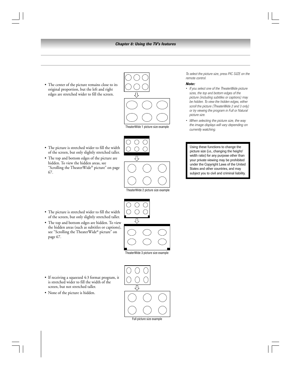 Selecting the picture size | Toshiba 27HLV95 User Manual | Page 66 / 102