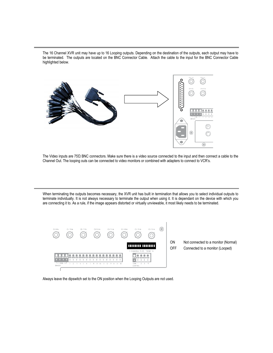 Looping outputs, Looping output termination | Toshiba XVR16-120-X User Manual | Page 33 / 121