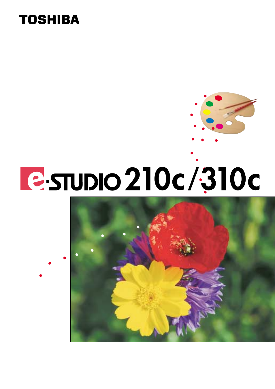 Toshiba E-STUDIO 210C User Manual | 196 pages