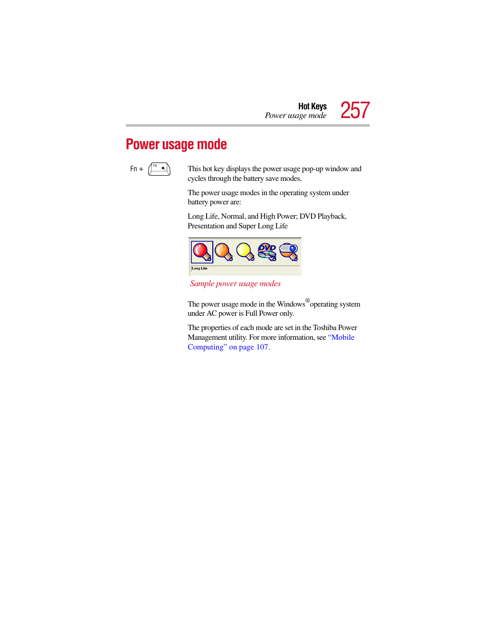 Power usage mode | Toshiba Satellite Pro 6000 Series User Manual | Page 257 / 295