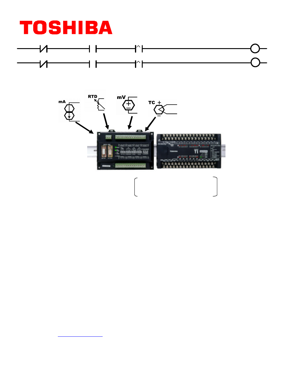 Toshiba Eagle T1 Series PLCs User Manual | 2 pages