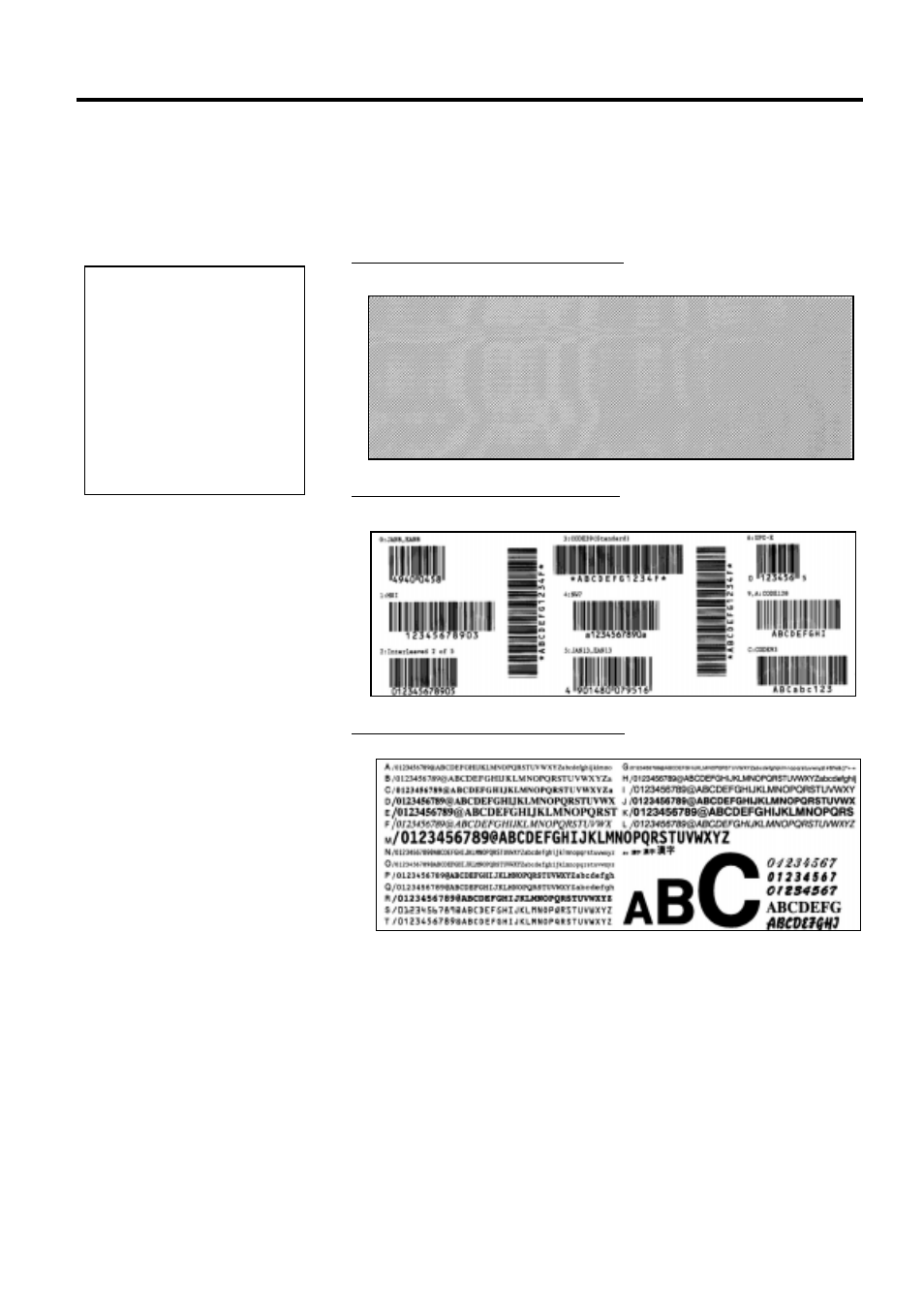 11 test print (cont.) | Toshiba B-852-TS12-QP User Manual | Page 28 / 55