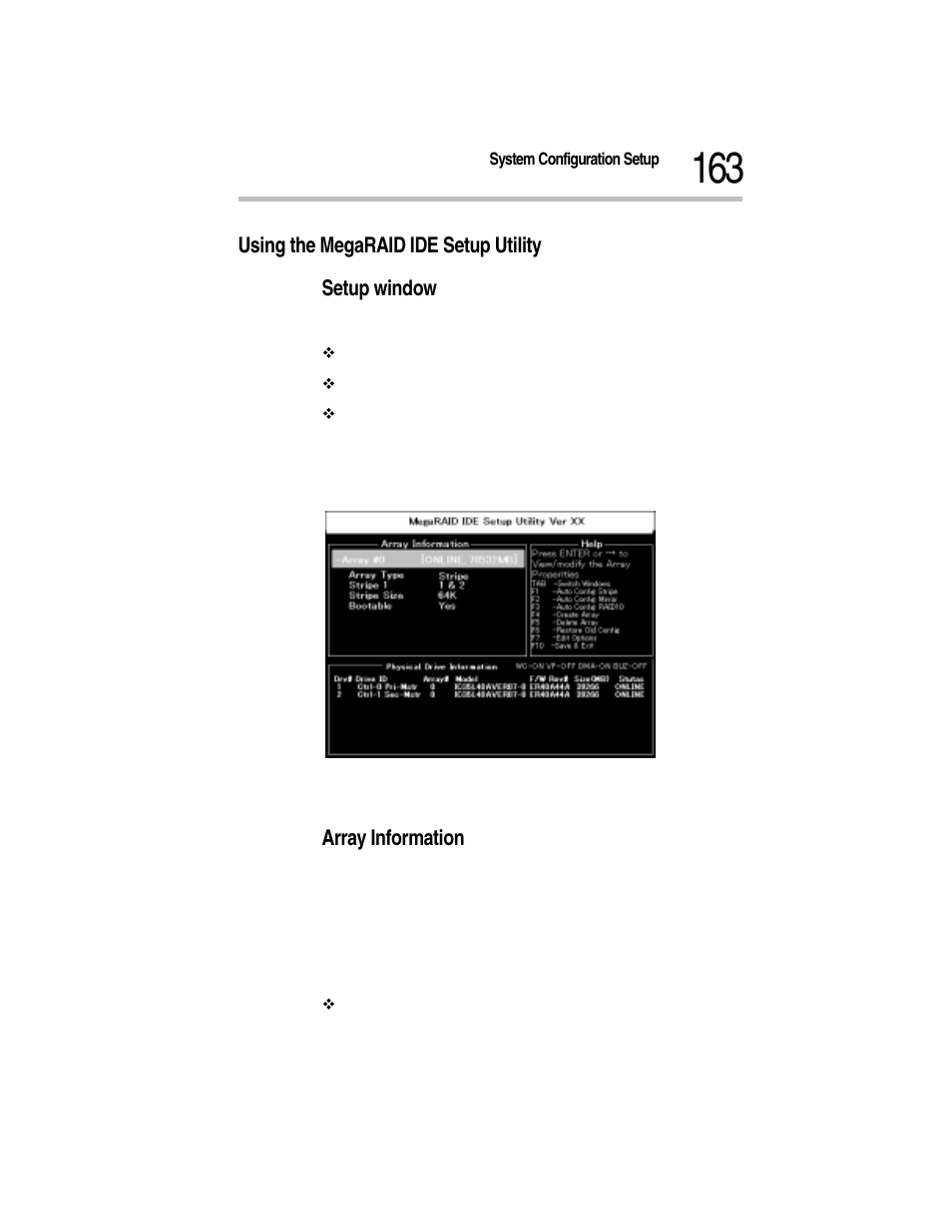 Using the megaraid ide setup utility, Setup window, Array information | Toshiba Magnia Z300 User Manual | Page 185 / 270