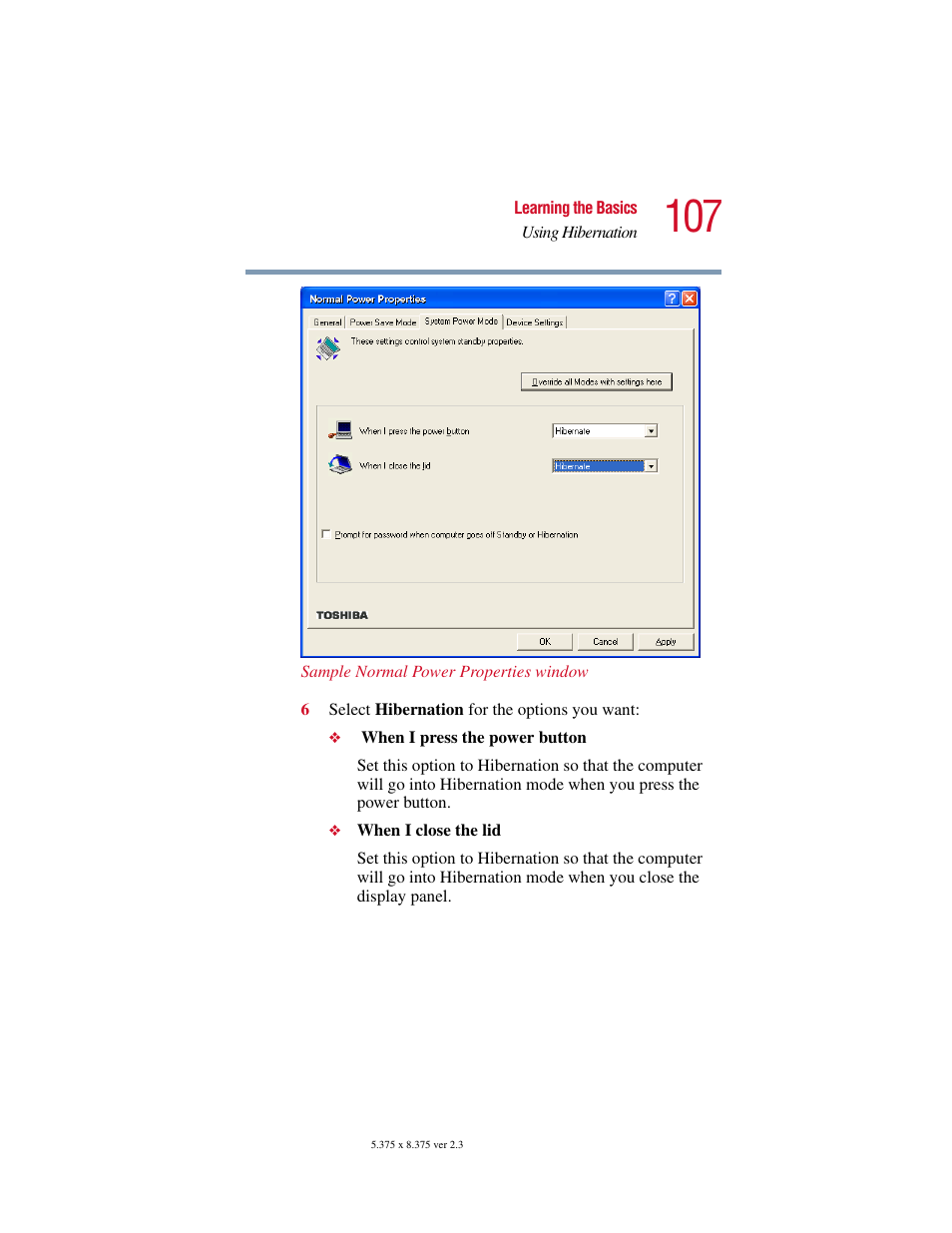 Toshiba SATELLITE A10 User Manual | Page 107 / 262