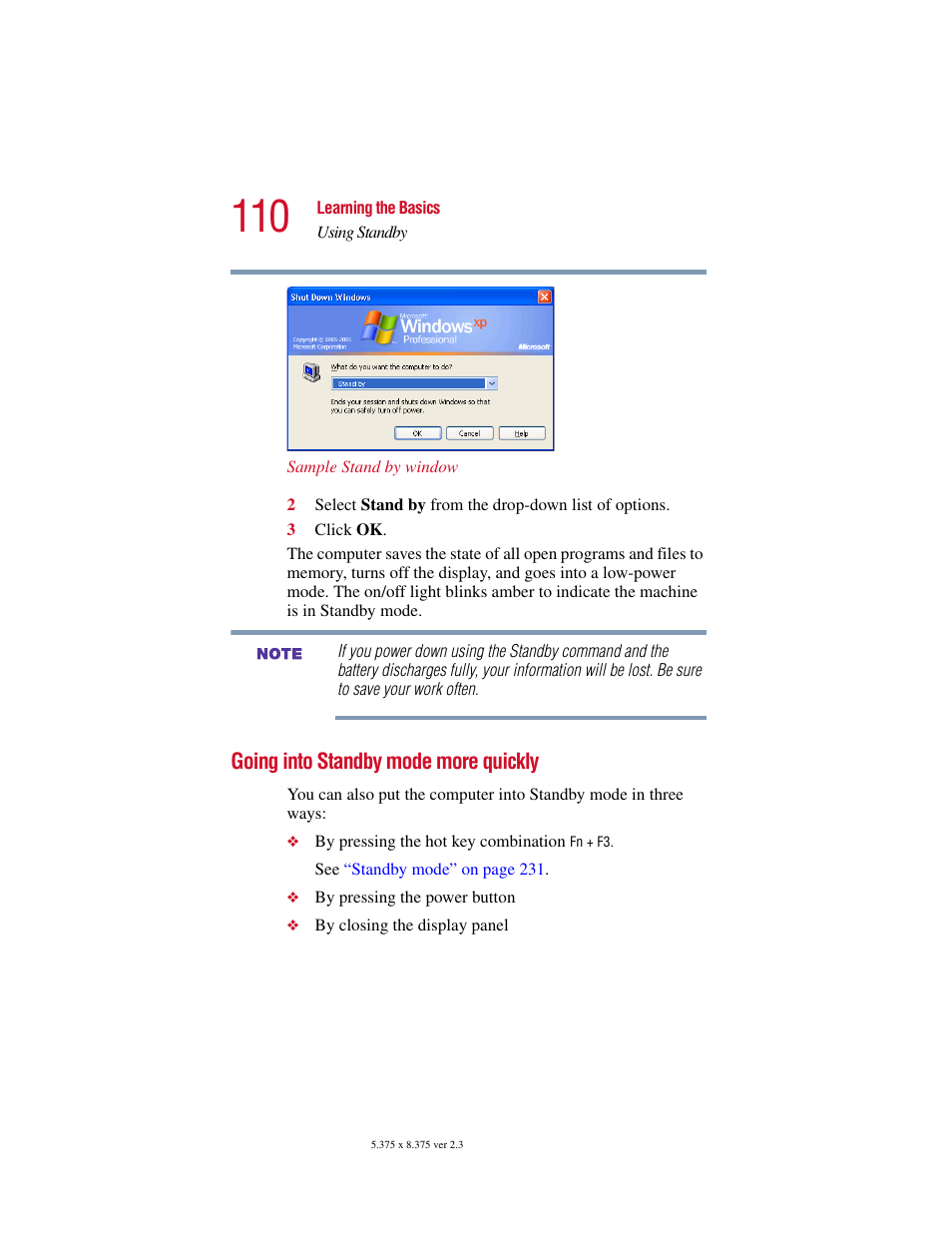 Going into standby mode more quickly, Going into standby mode | Toshiba SATELLITE A10 User Manual | Page 110 / 262