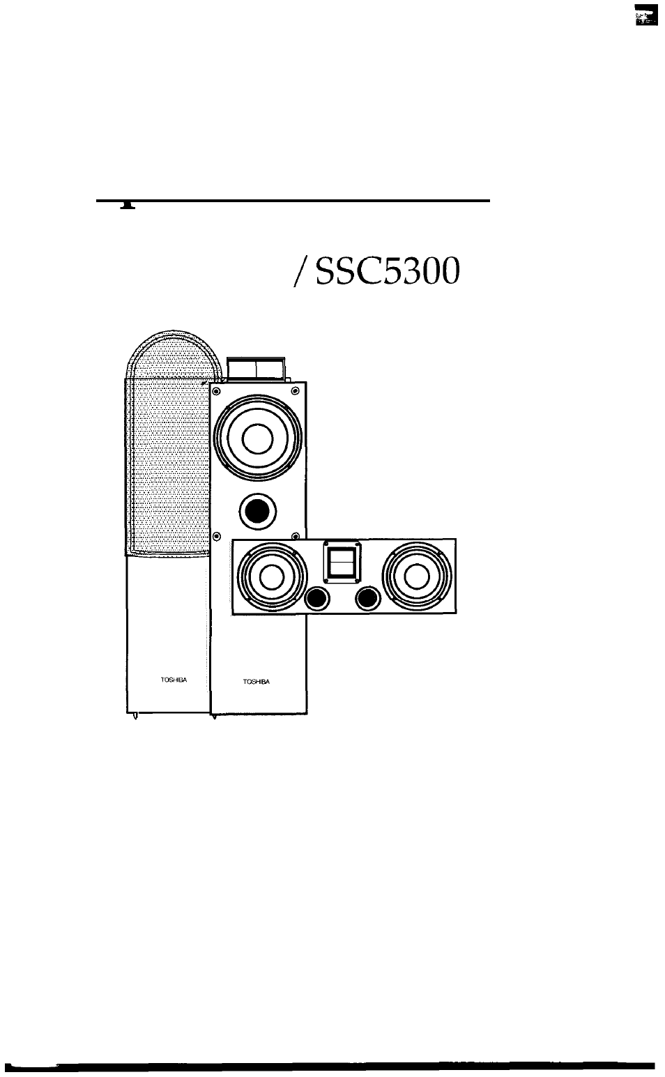 Toshiba SSC5300 User Manual | 7 pages