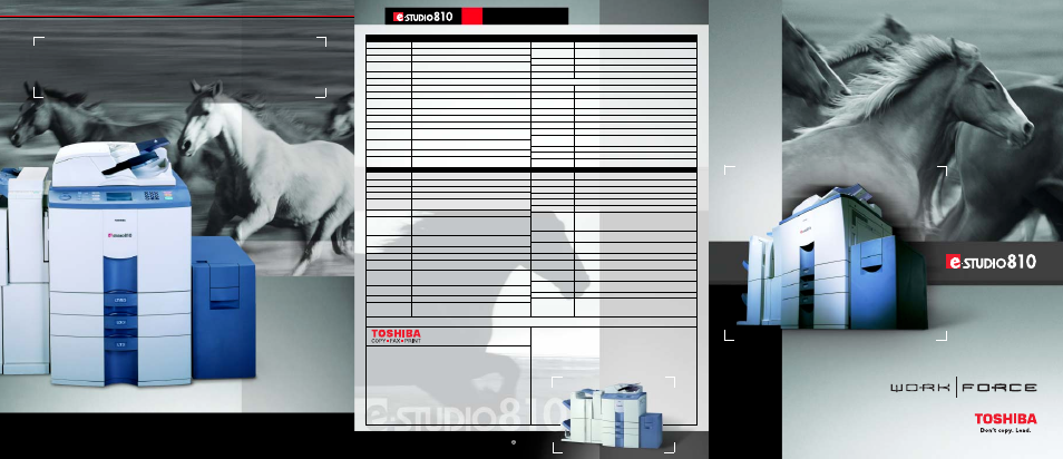 Toshiba e-STUDIO810 User Manual | 2 pages