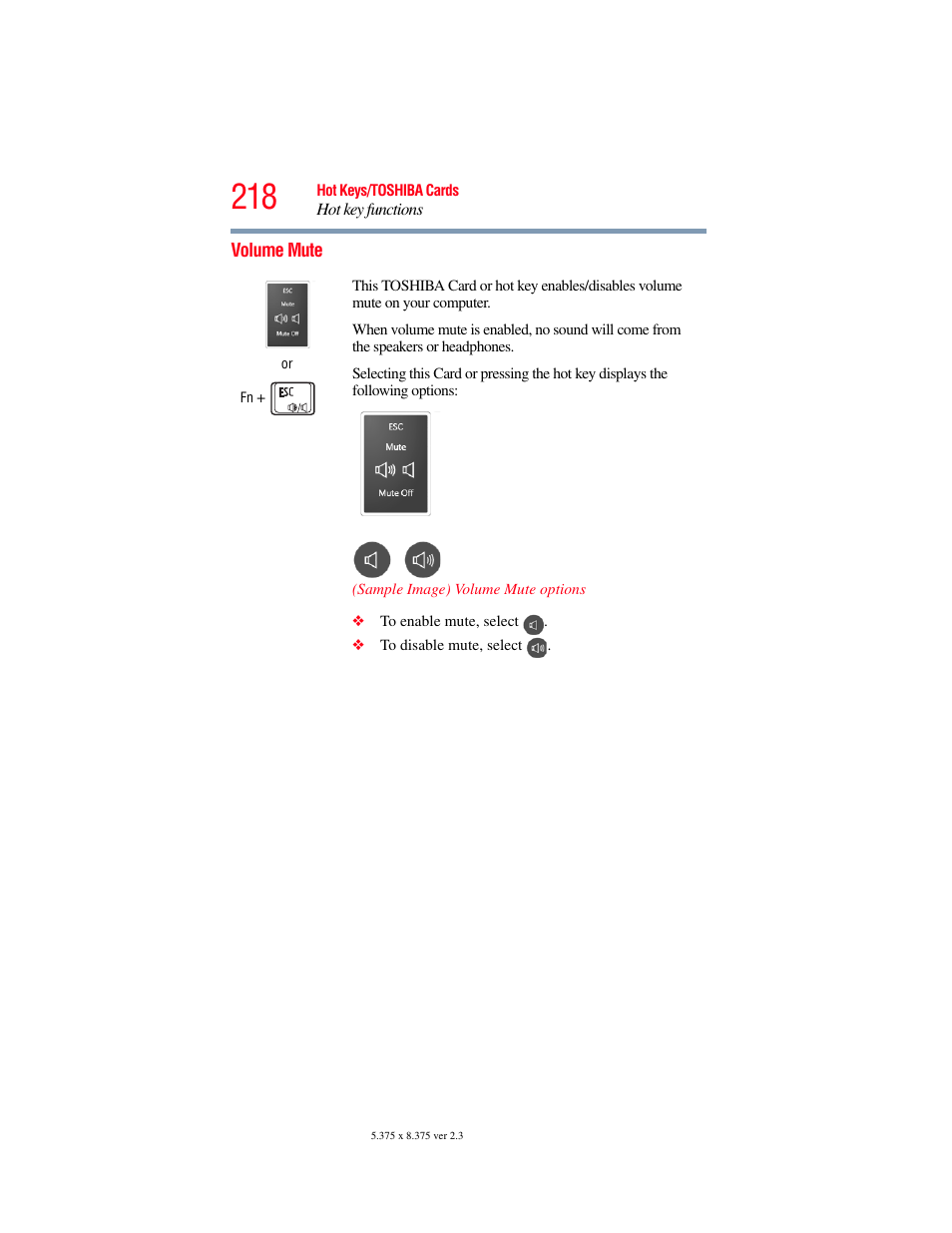 Volume mute | Toshiba SATELLITE U500 User Manual | Page 218 / 251