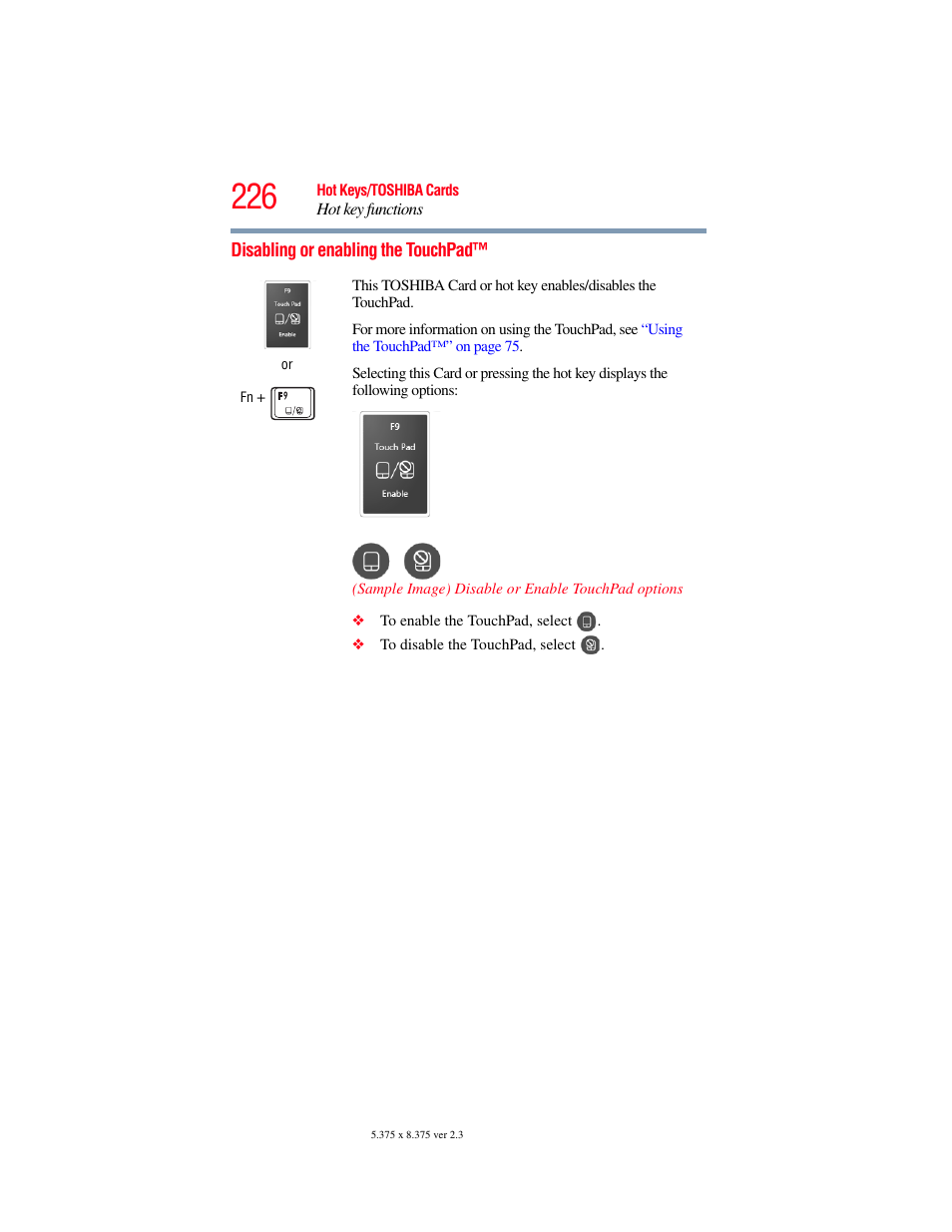 Disabling or enabling the touchpad | Toshiba SATELLITE U500 User Manual | Page 226 / 251