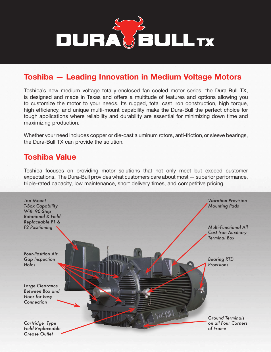 Toshiba value | Toshiba Dura-Bull TX User Manual | Page 2 / 6